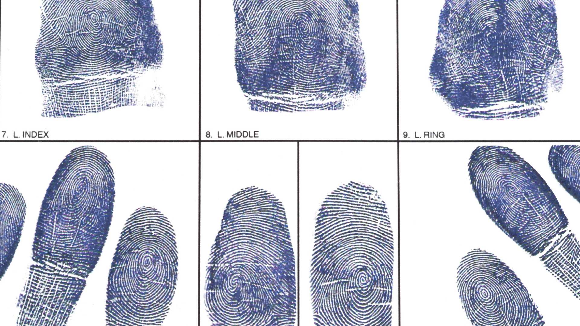 Things You Should Know About Live Scan Fingerprinting Services Anshin Mobile Notary And Livescan 6899