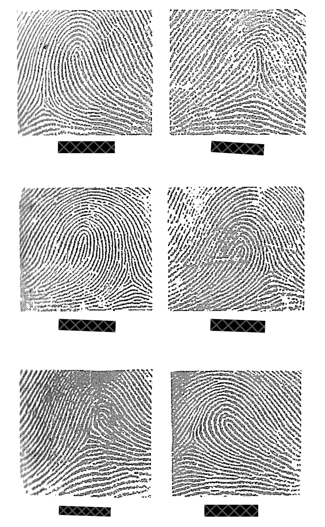 Recurving ridges, ridge counting