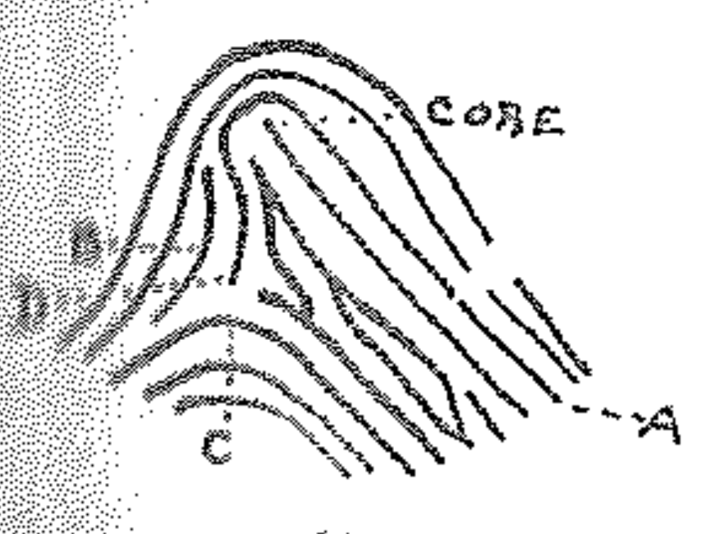 Recurving ridges, ridge counting