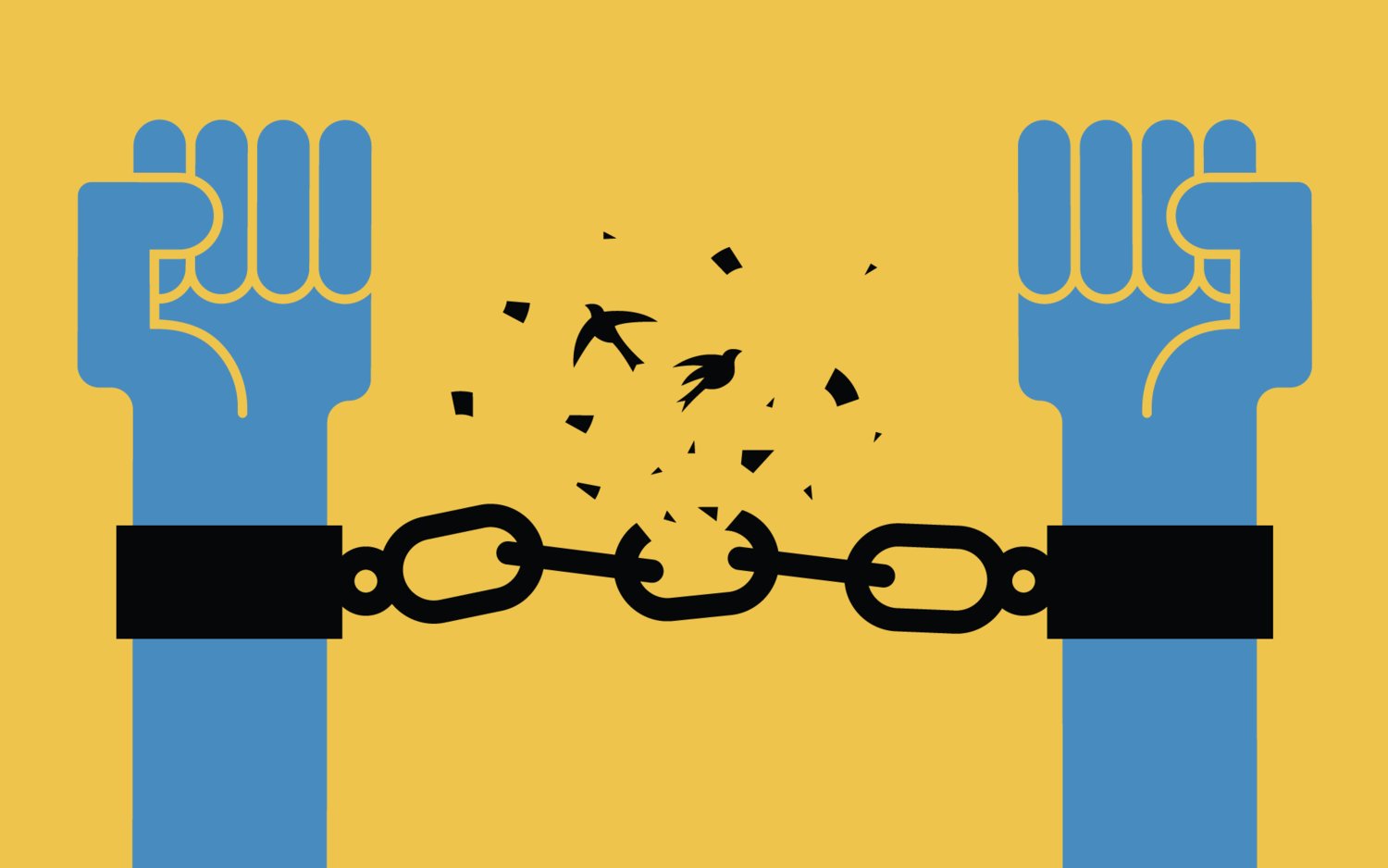 What Happens After Your Criminal Record is Expunged