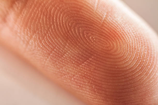 How Long Does It Take to Process Live Scan Fingerprints