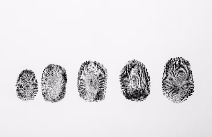 How the National Instant Criminal Background Check System (NICS) Works
