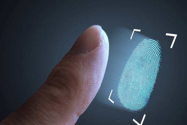 How to Check Your Live Scan Results Step by Step