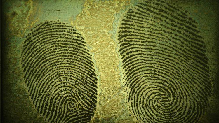 Understanding the Live Scan Fingerprinting Process
