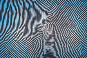 Top Reasons You Need a Live Scan Fingerprint for Licensing